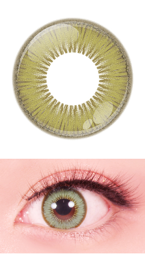 ノースオリーブ