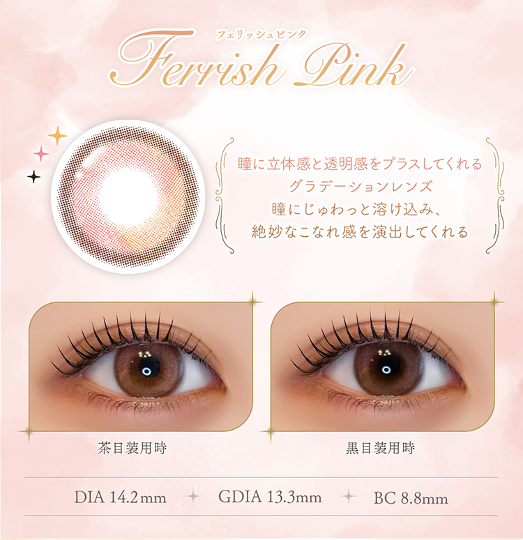 フェレーヌ「フェリッシュピンク」