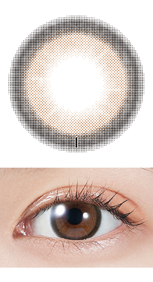 ブラウンバニー