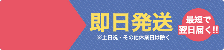 即日発送カウントダウン